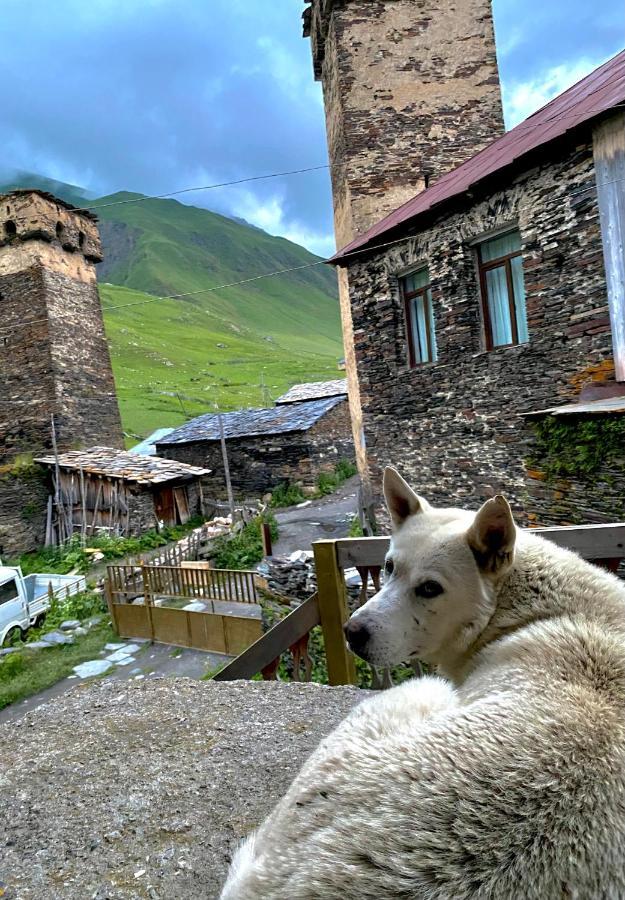 Nizharadze'S Tower Hotel Ушгули Екстериор снимка